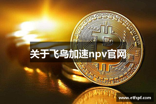 关于飞鸟加速npv官网